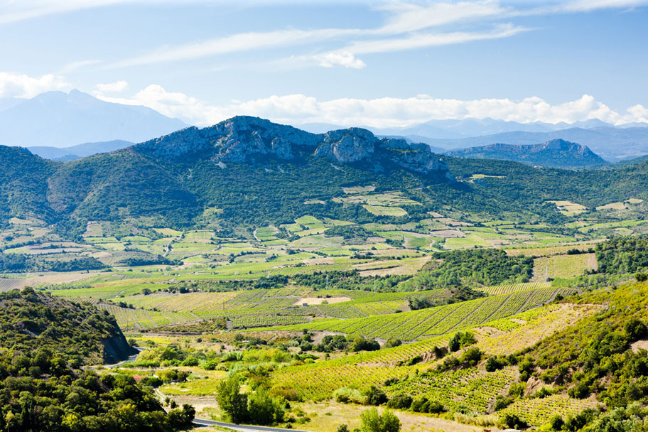 Les Corbieres du Domaine MP Berthier